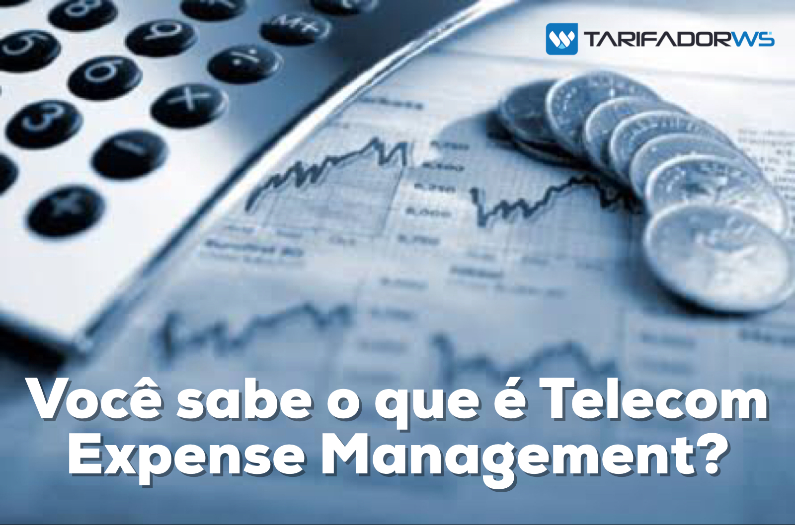 Telecom Expense Management (TEM)